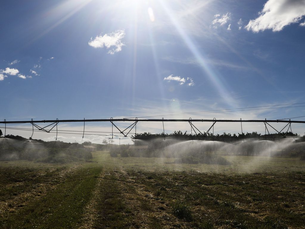 Fiagro cresce e se torna opção atraente para investidor; entenda