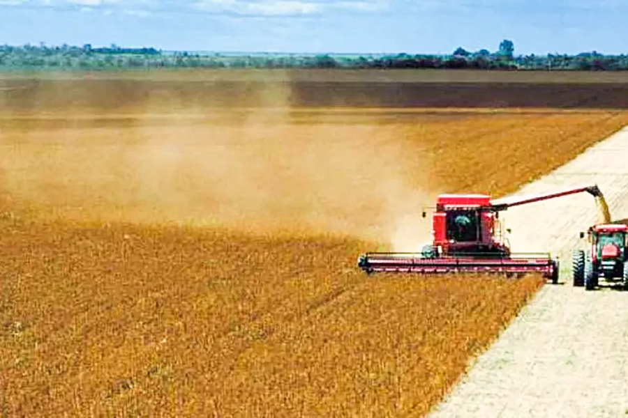 BrasilAgro (AGRO3) investe R$ 4 mi em fazenda produtora de soja na BA