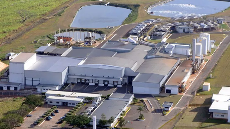 Marfrig dá passo para se tornar potência global em proteínas, diz BTG