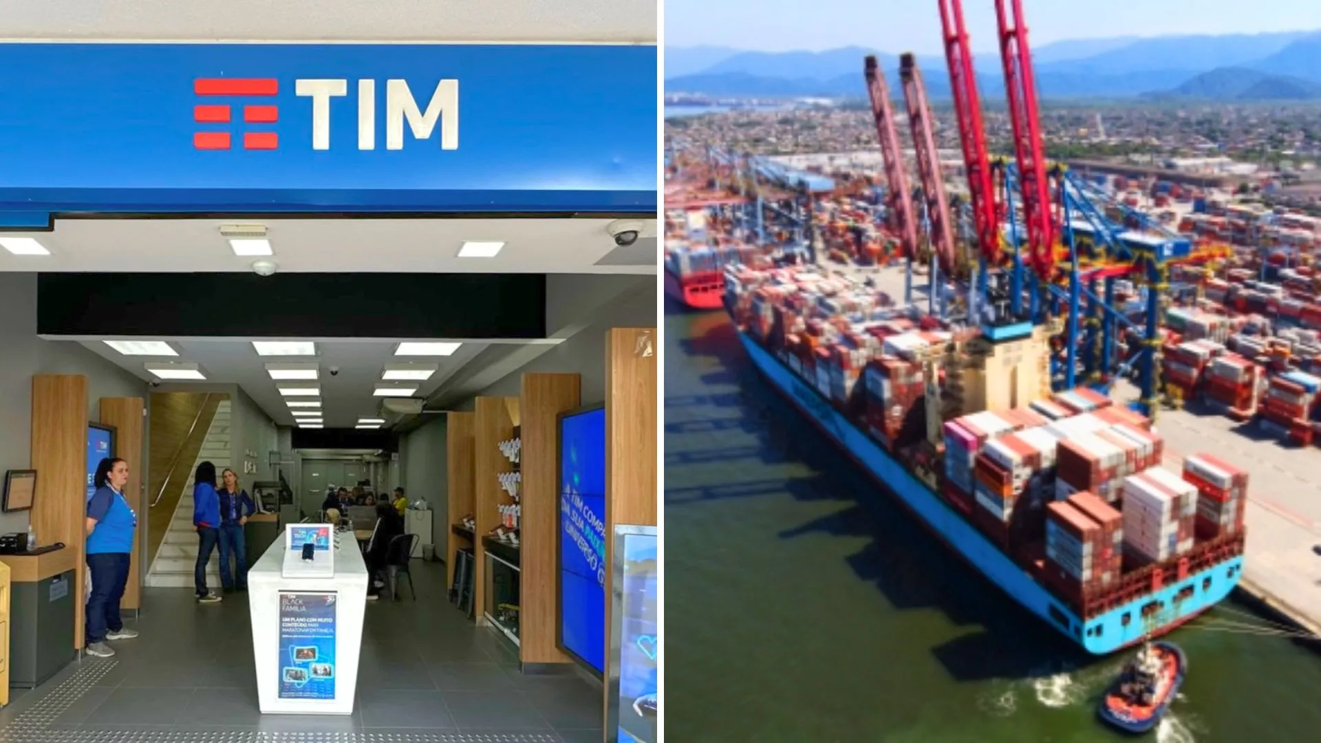 TIM (TIMS3) e Santos Brasil (STBP3) anunciam dividendos de R$ 341 mi