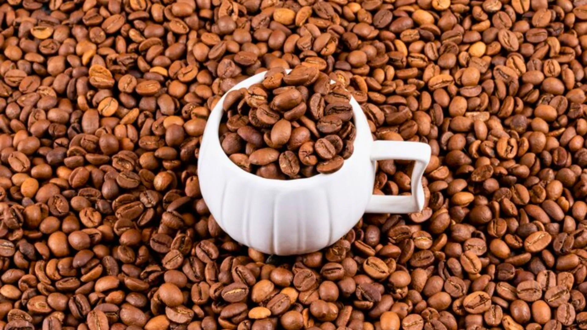 Commodities agrícolas: café deve manter forte tendência de alta, avalia EQI Research