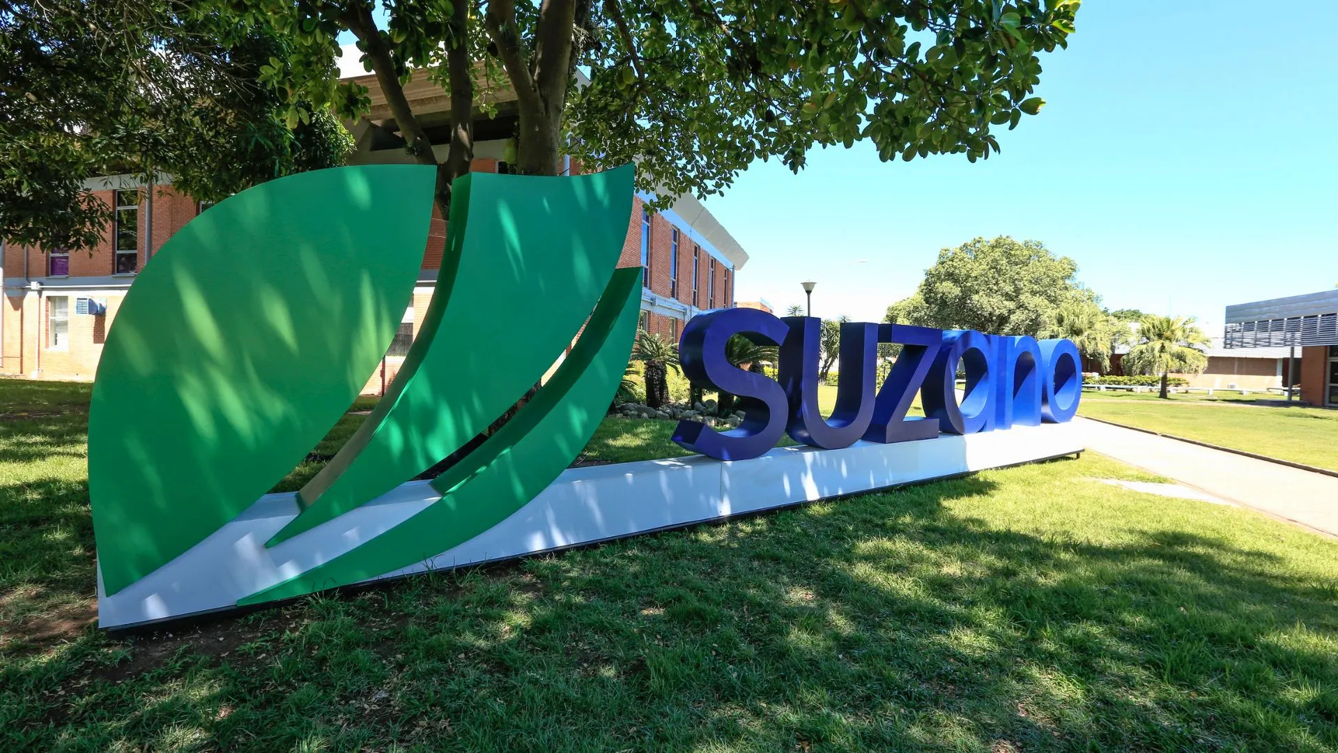 BTG vê desistência da Suzano sobre International Paper como positiva
