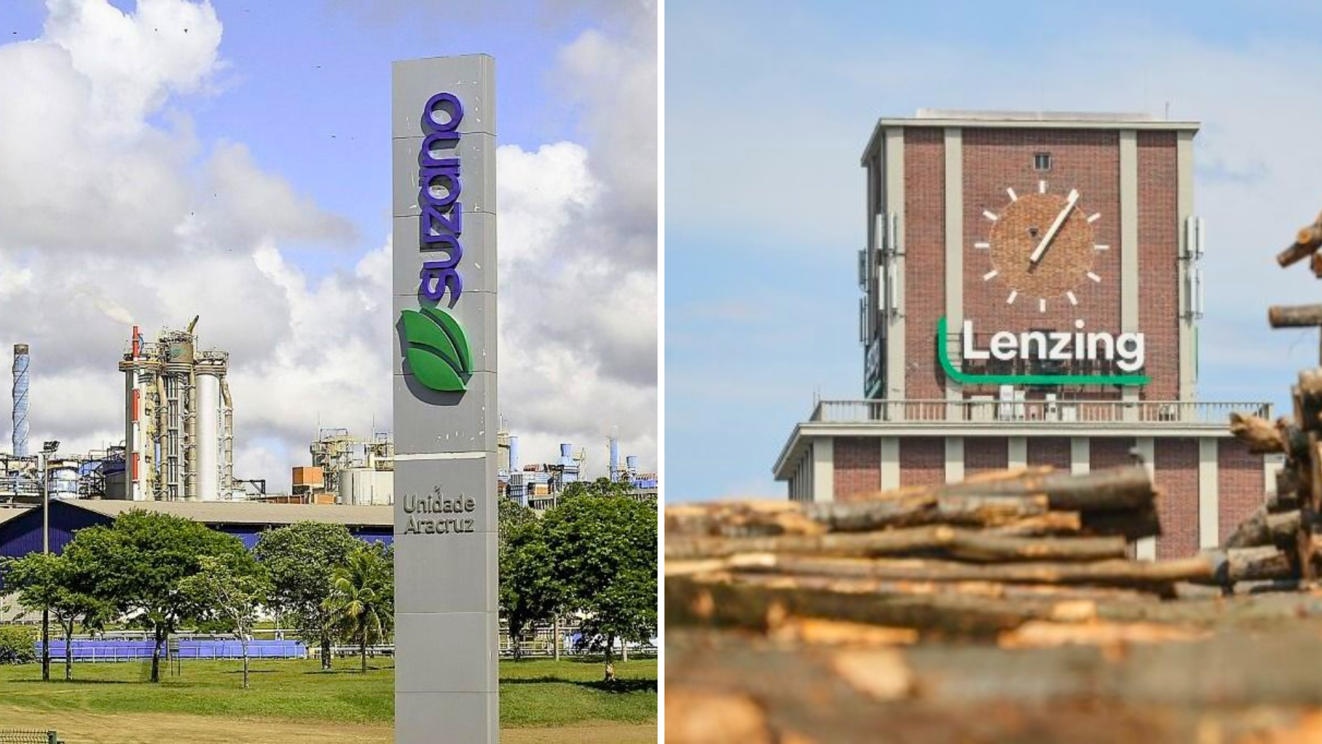 Suzano compra 15% da Lenzing por R$ 1,3 bi e entra de vez no mercado têxtil sustentável