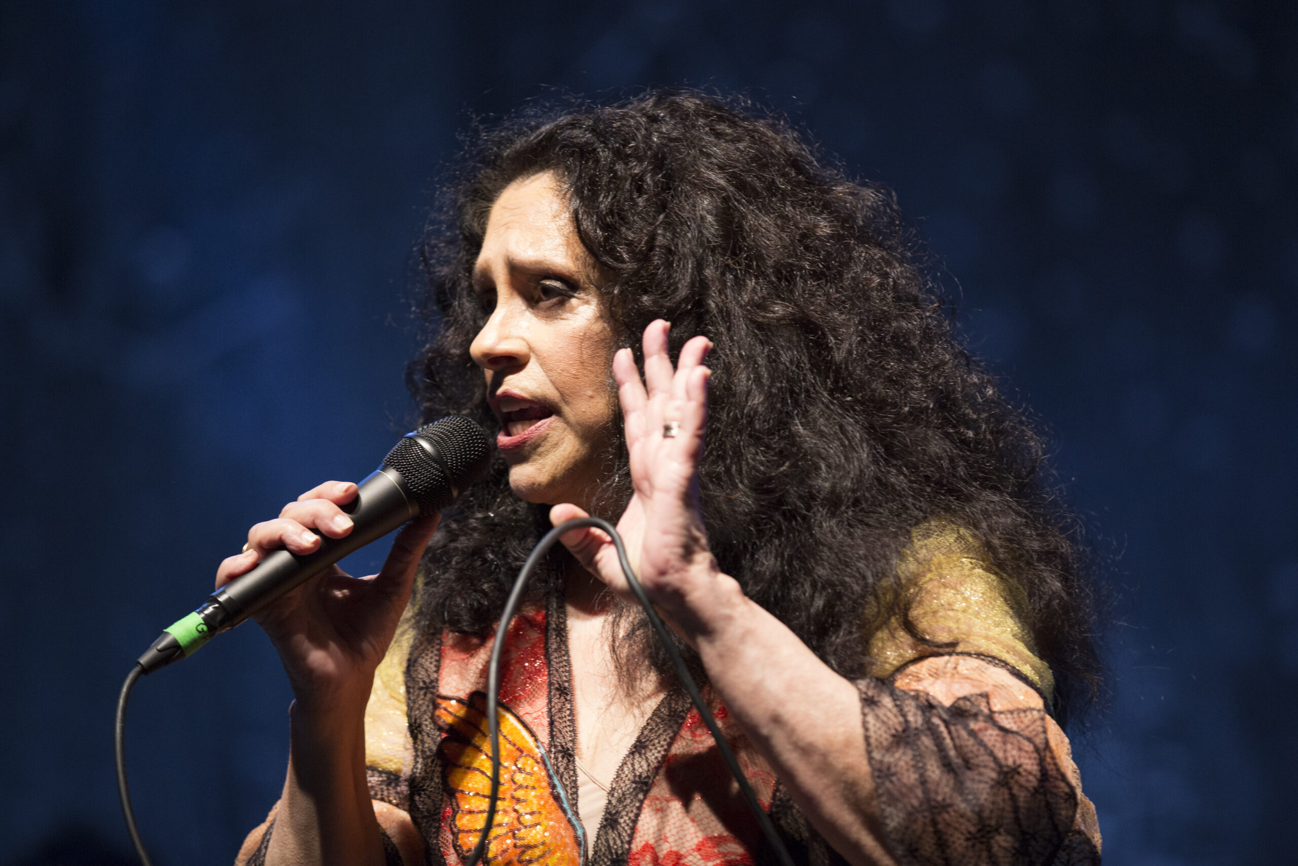 Herança de Gal Costa: acordo põe fim à disputa