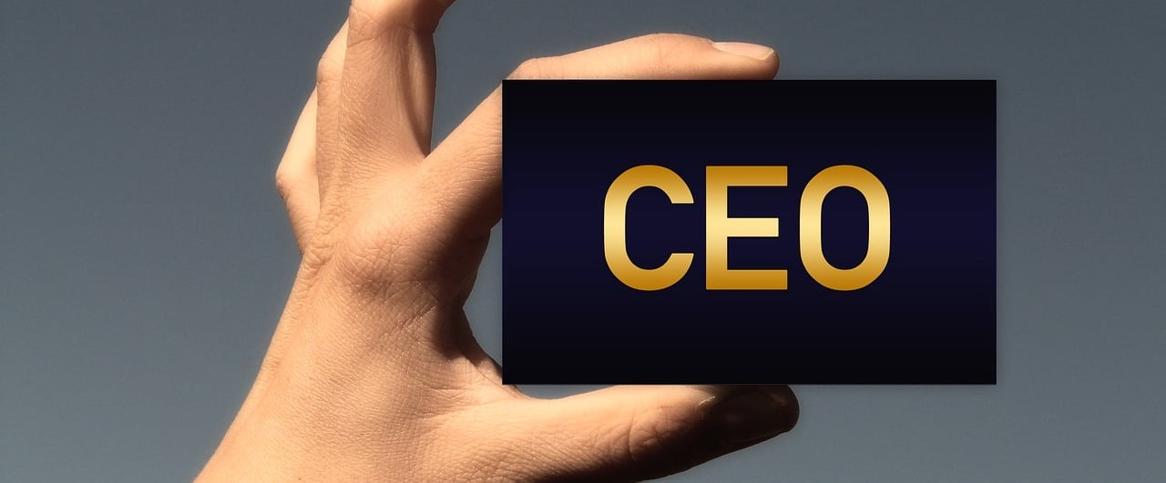 Quanto ganham os CEOs?