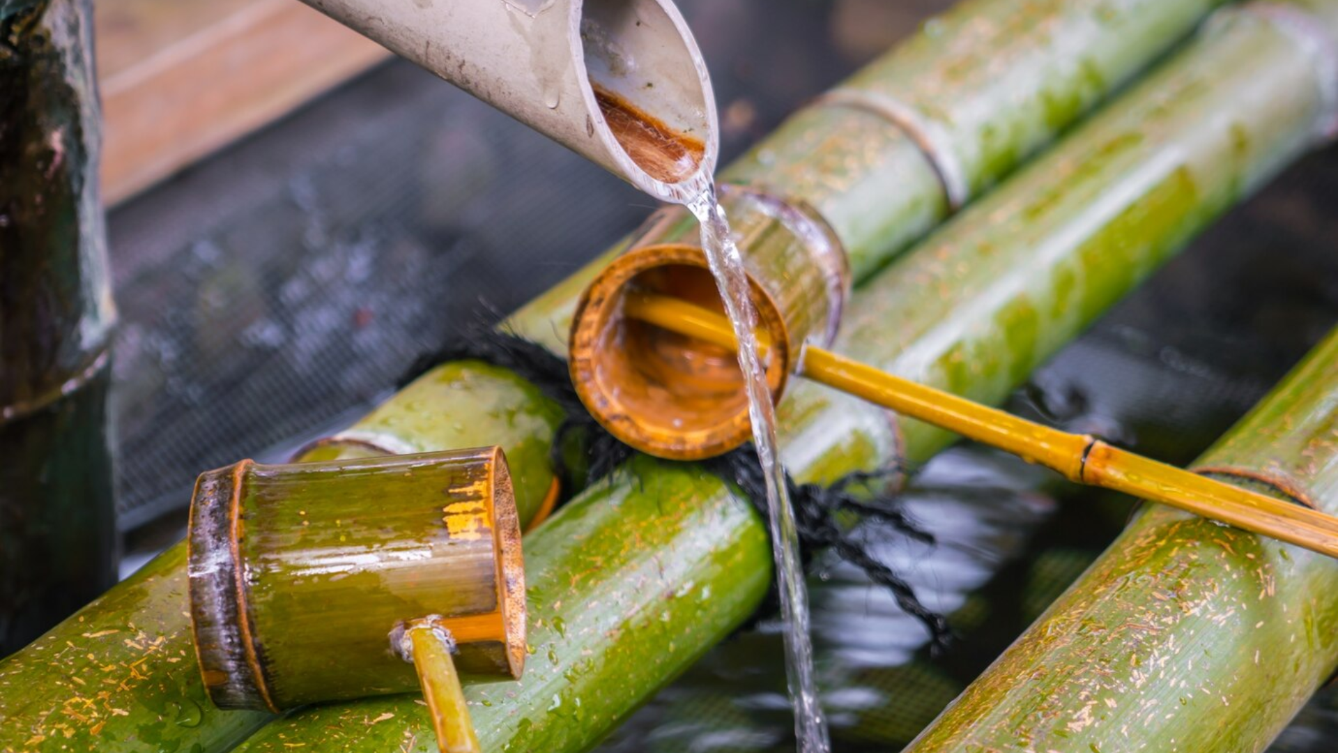 Petrobras (PETR4) avança no setor de etanol e negocia parcerias com gigantes do mercado