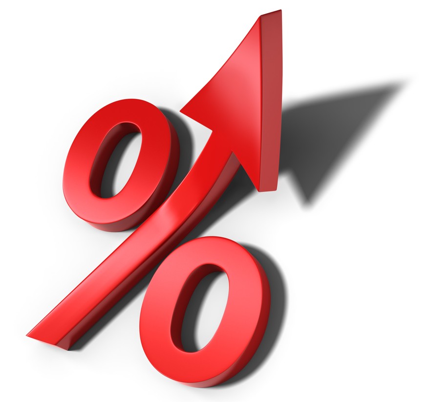 Selic a 12,25%: saiba como investir em cenário pessimista