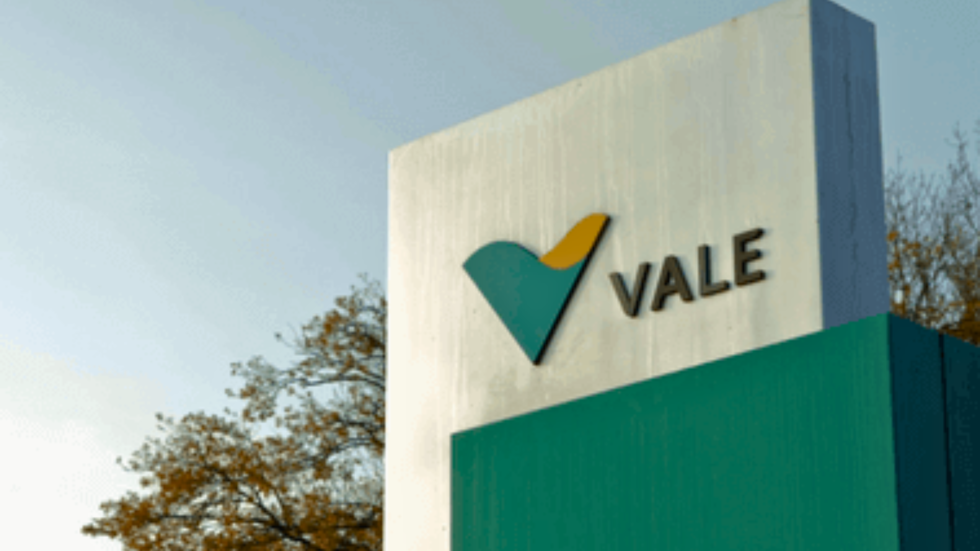 Tenho ações da Vale (VALE3) em carteira: o que fazer?