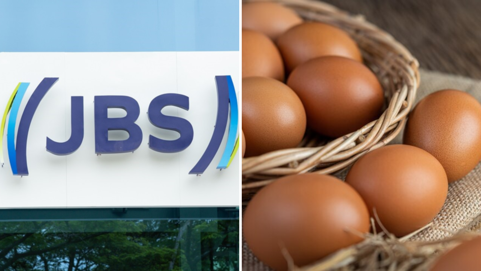 JBS (JBSS3) entra no mercado de ovo após investir quase R$ 2 bi na Mantiqueira