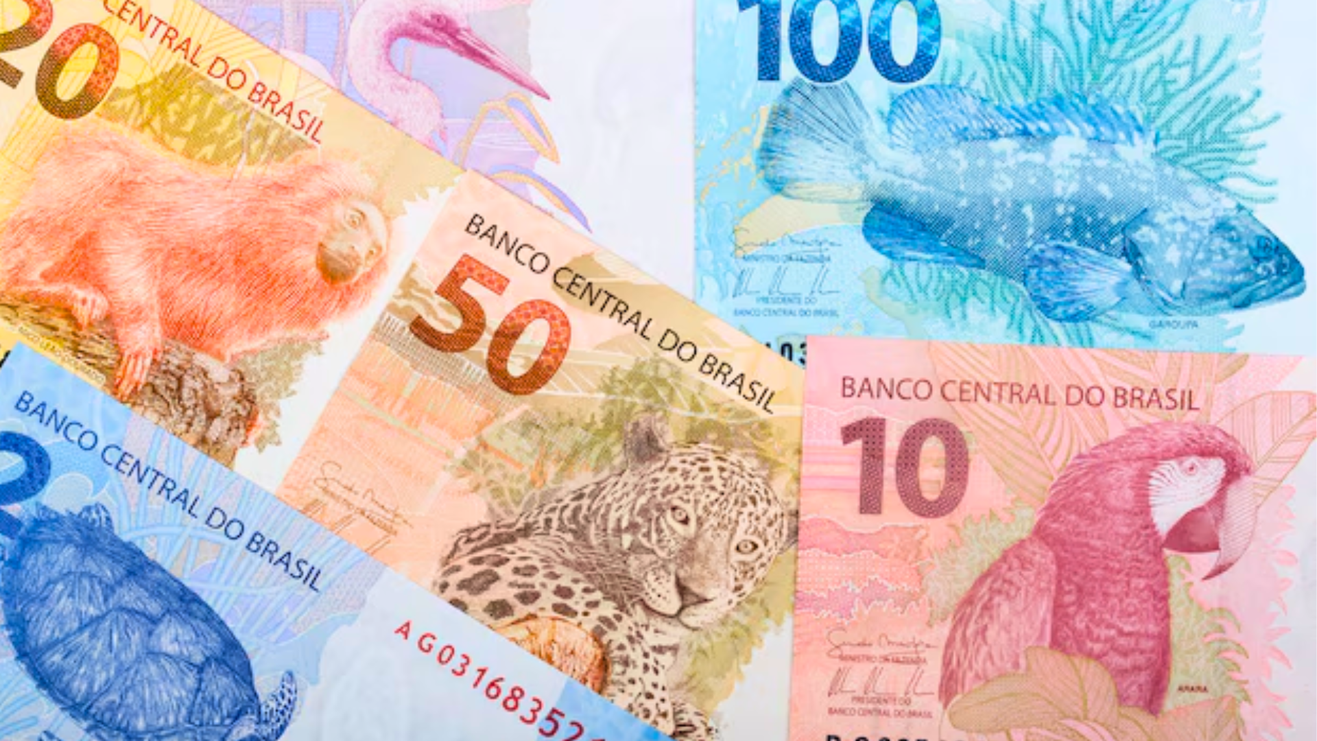 Bank of America recomenda investir em real, mas alerta para riscos fiscais