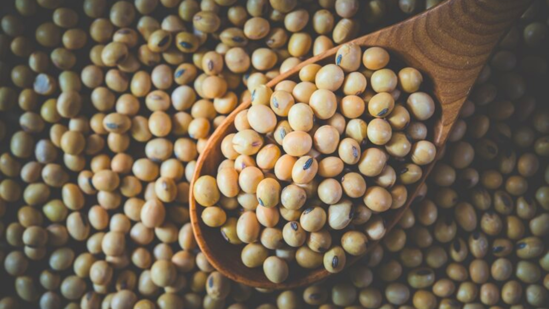 China suspende importação de soja brasileira de 5 empresas