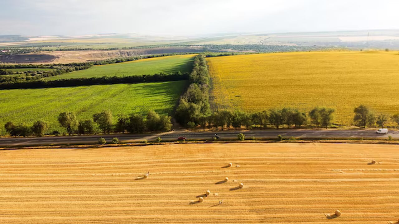 Preços das terras agrícolas subiram 113% em 5 anos