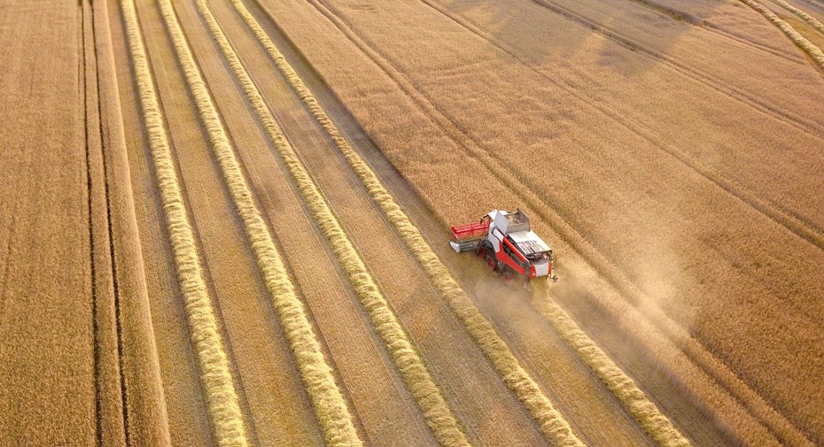 O agro não é um só – e o Brasil segue atraente, apesar da tarifa