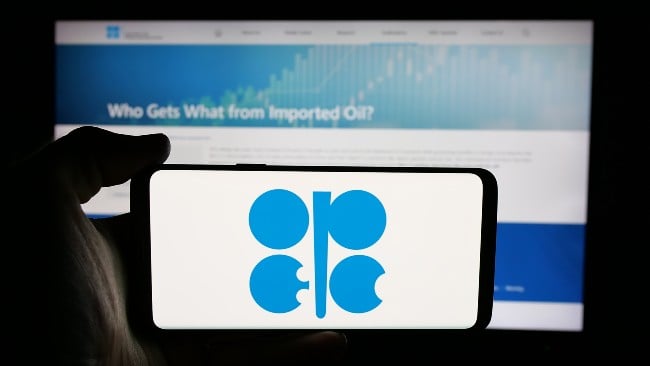 Opep+ mantém previsão de produção para o próximo ano