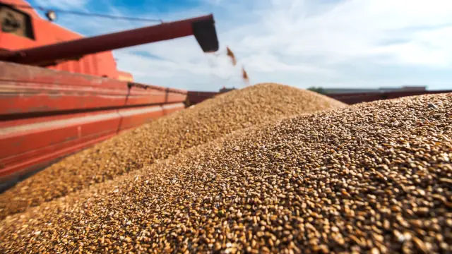 Recuperação judicial no agro bate recorde no 3TRI25