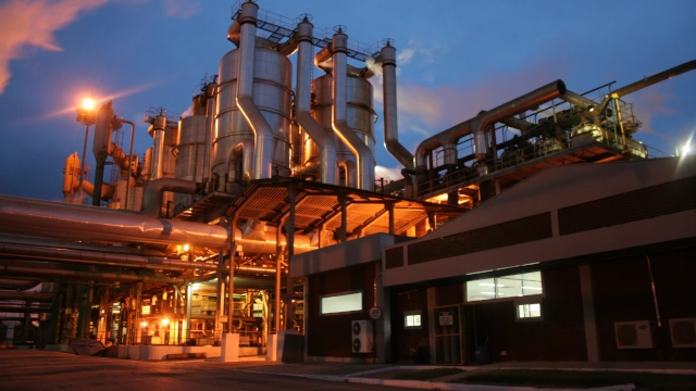 São Martinho: estratégia acertada, apesar de preços em queda e endividamento em alta