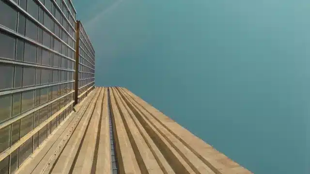 Alta do petróleo pode levar BC a reduzir corte inicial na Selic, diz SócGén