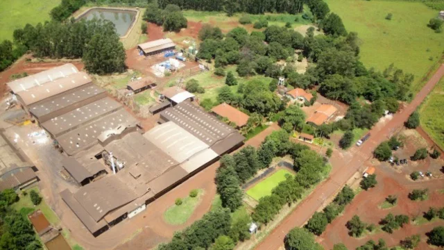 Nutriplant (NUTR3) migra para Segmento Básico da B3 após fim do Bovespa Mais