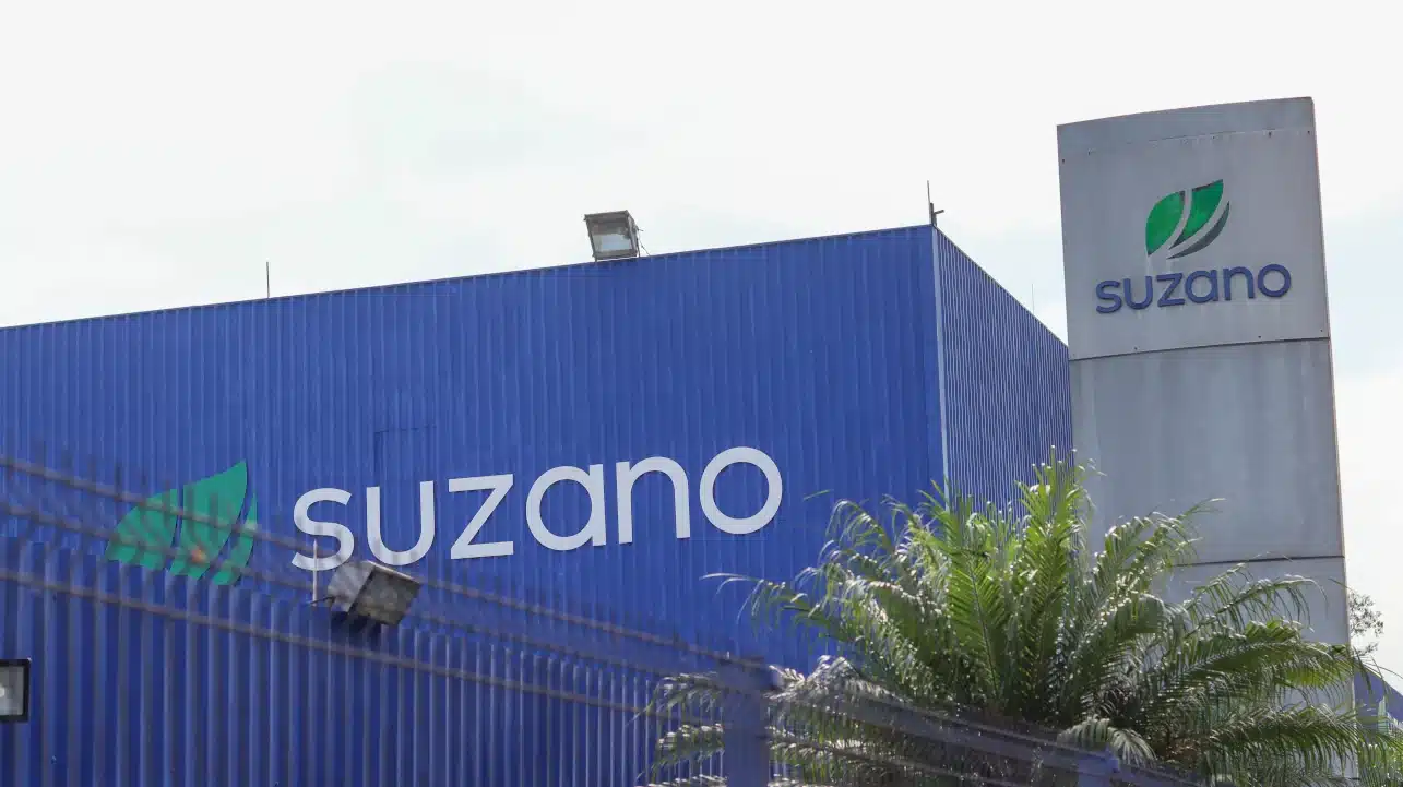 Lucro líquido da Suzano tomba; veja os dados do 1ºTRI