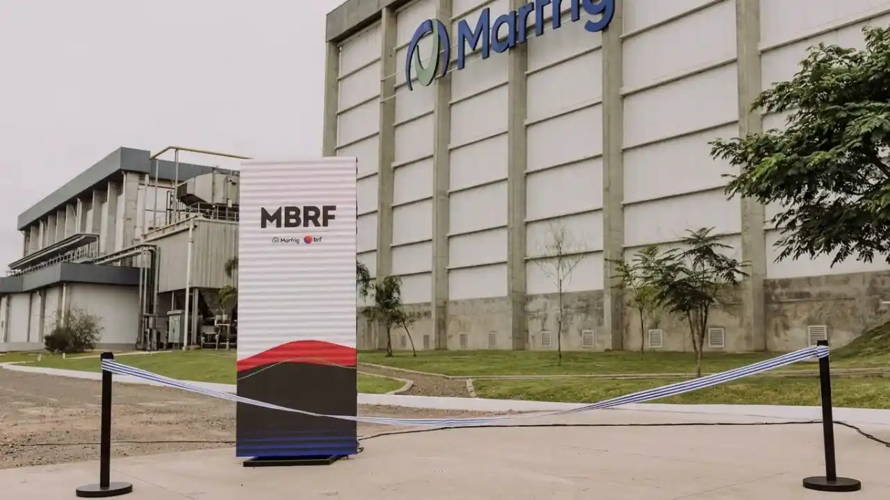 Fachada de vidro de um edifício corporativo moderno exibindo o logotipo da MBRF em destaque. O reflexo do sol na vidraça cria um efeito de brilho, com o céu azul ao fundo, representando a sede administrativa da companhia.