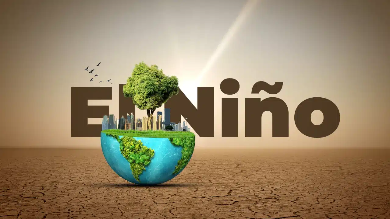 Foto para El Niño