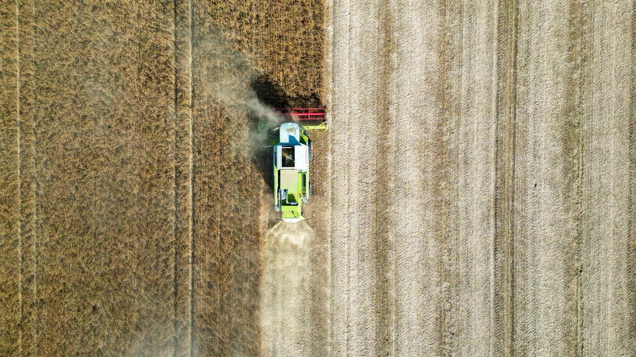 Campo agrícola para SLC Agrícola