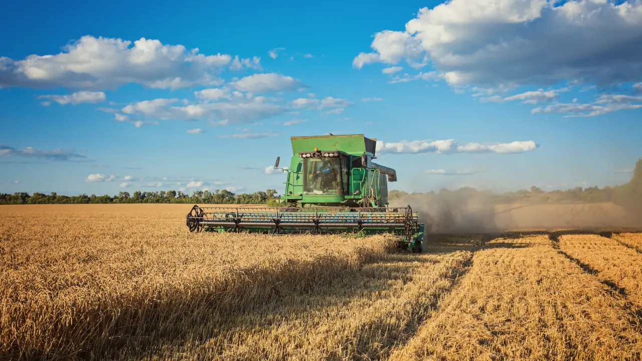 XP sobe preço-alvo da SLC Agrícola, mas mantém cautela com ação