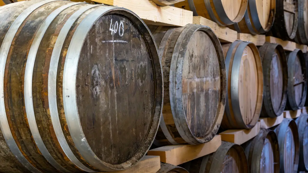 safra de vinhos na França