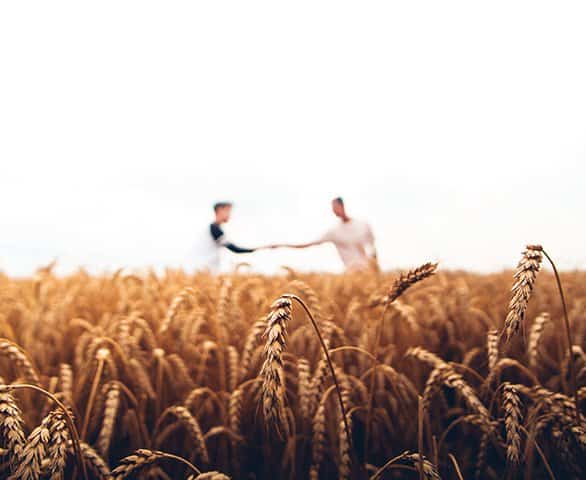 Agronegócio terá aumento do PIB com 5G, diz ministro das Comunicações