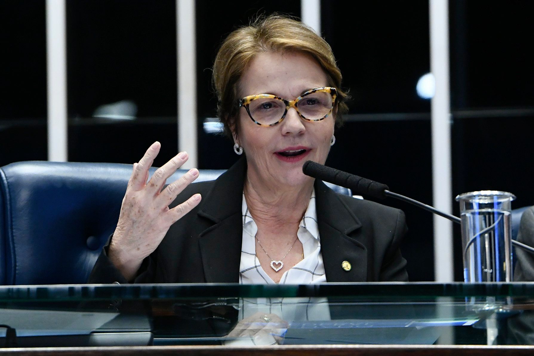 Ministra assina acordo de cooperação agrícola com a Alemanha