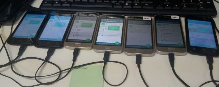 Deputada pretende quebrar sigilo de contas de Whatsapp das eleições de 2018