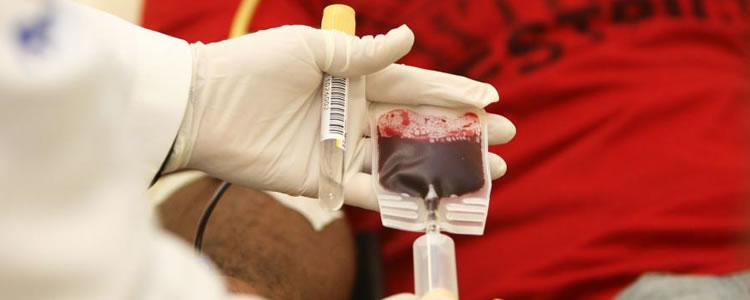 Covid-19: Anvisa inclui novo coronavírus na triagem para doação de sangue
