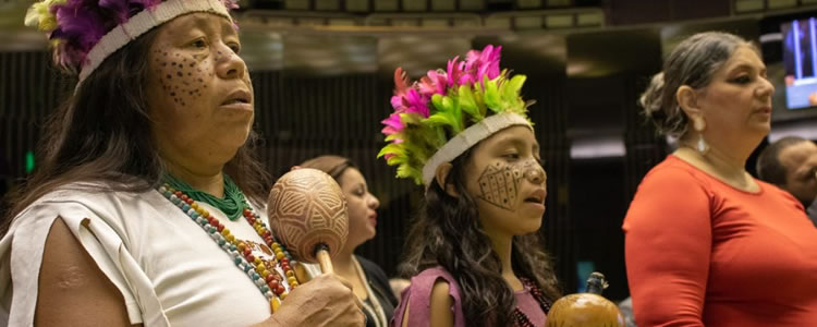 Maia recebe pedido para rejeitar proposta do governo de permitir mineração em terras indígenas