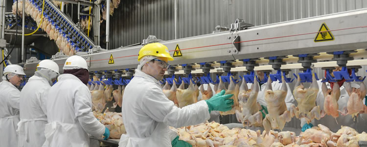 Pilgrim’s Pride apresenta 84% de aumento no lucro líquido em 2019