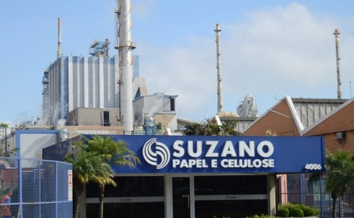 Suzano (SUZB3) lucra menos 61% e anuncia sinergias com Fibria