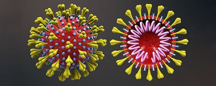 Coronavírus dos dois casos confirmados no Brasil têm genomas diferentes