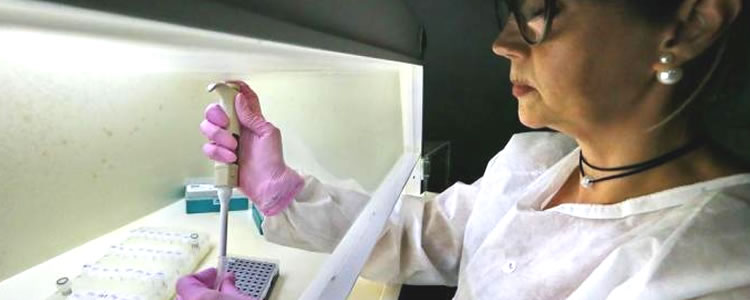 Oito novos testes para o coronavírus são aprovados pela Anvisa