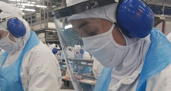 JBS (JBSS3) vai captar R$ 2,04 bilhões em CRAs para comprar bois