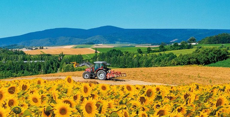 Governo anuncia Plano Safra e libera R$ 236,3 bilhões para produtores rurais