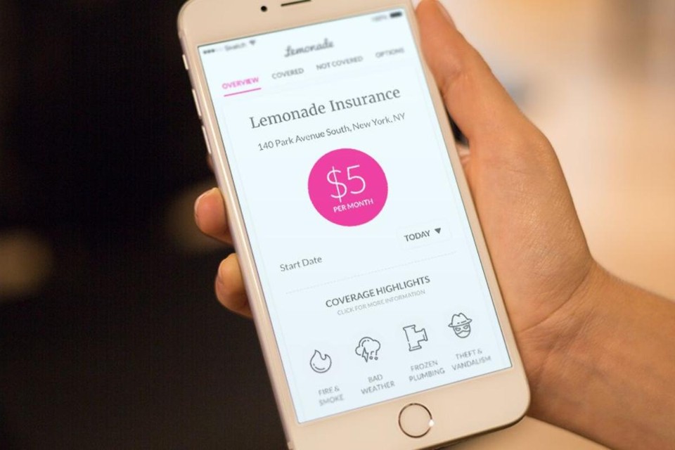 IPO da Lemonade: 7 fatos sobre a seguradora que quer reinventar o setor