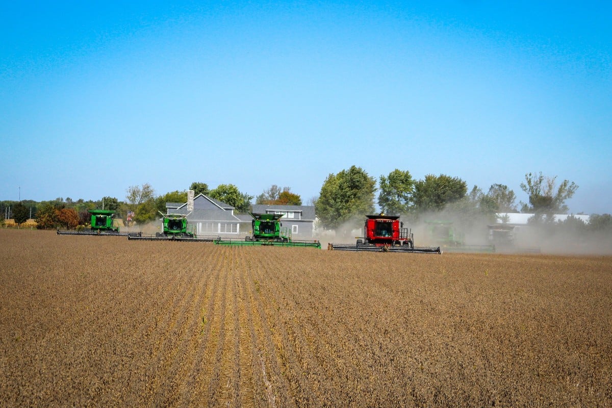 BrasilAgro (AGRO3): saiba como anda a cotação da small cap do setor de agronegócios