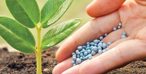 Governo lança programa de fertilizantes para diminuir dependência do Leste Europeu