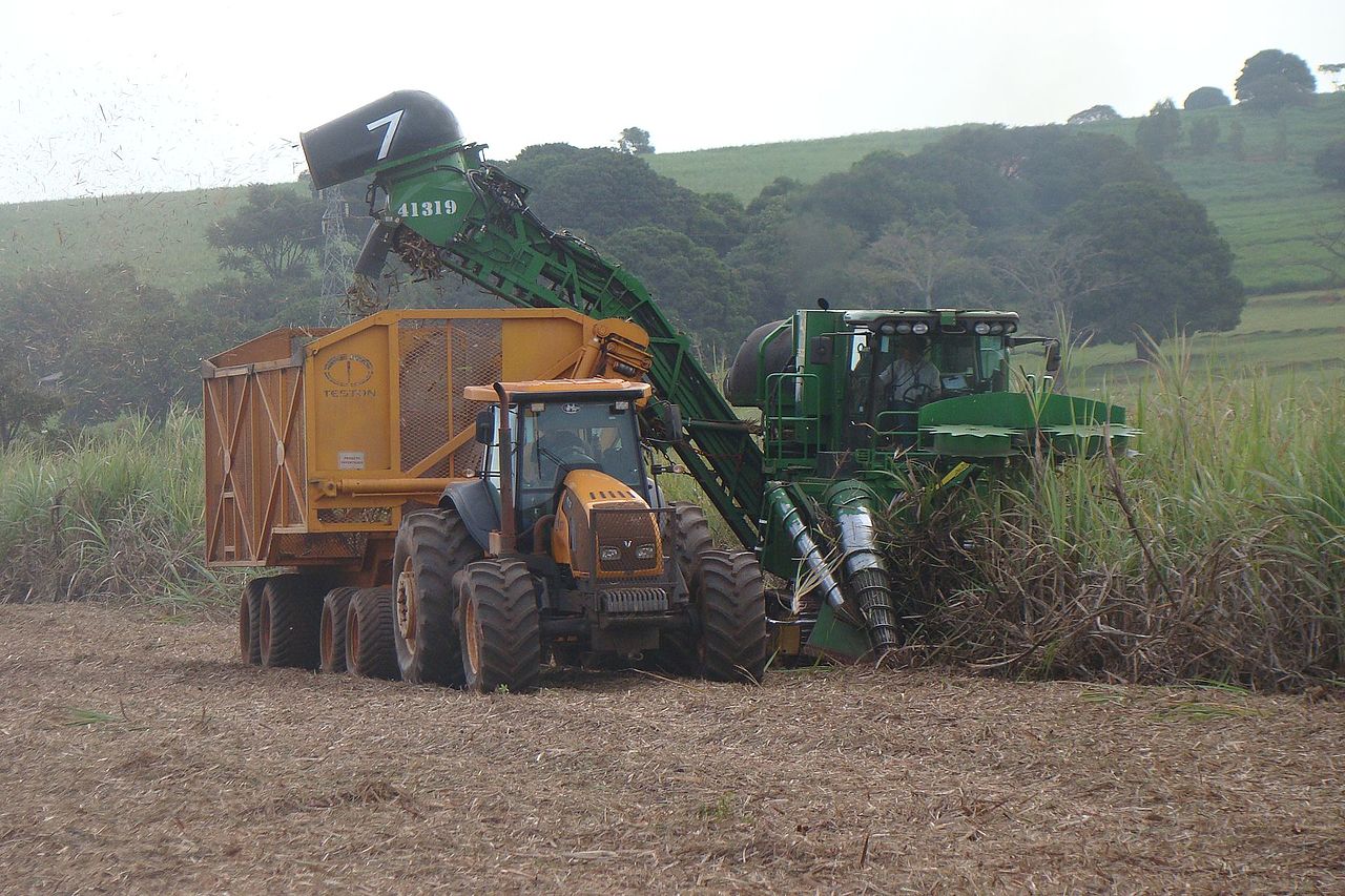 Produção de açúcar deve crescer 32% na safra 2020/21, diz Conab