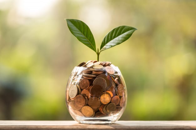 Meu primeiro dividendo: aprenda a investir de olho na renda passiva