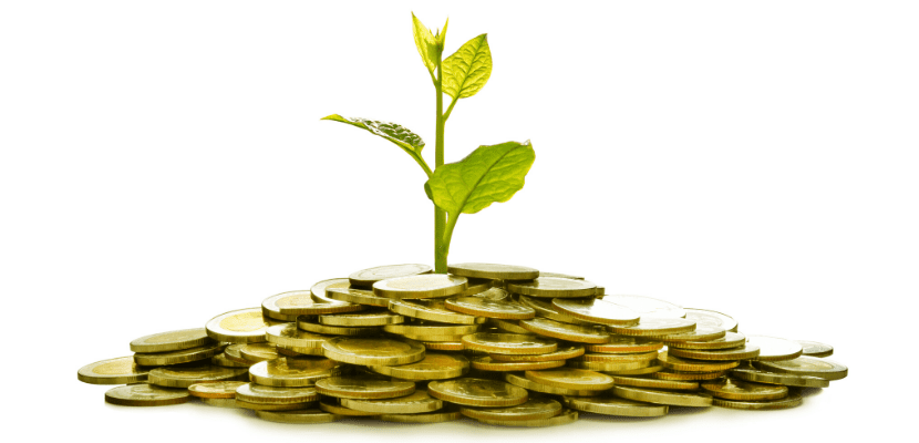 Grendene (GRND3) distribuirá R$ 129,7 milhões em proventos