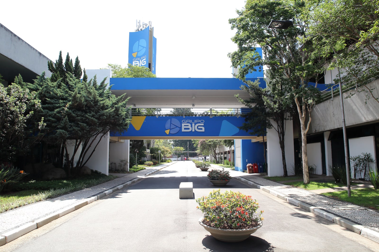 Grupo BIG: conheça a gigante do setor alimentício que estreia este ano na bolsa