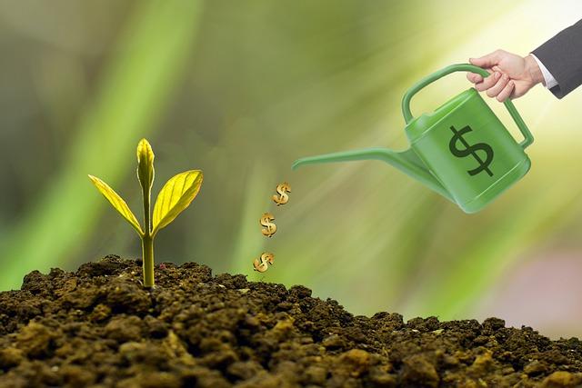 alongar prazo dos investimentos: ilustração de regador molhando semente, com símbolo do dinheiro