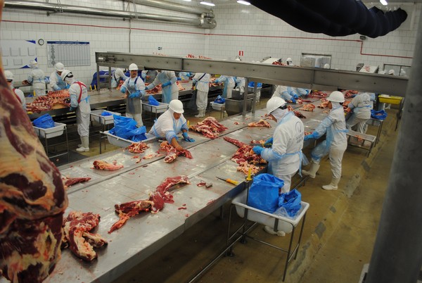 Monitor CVM: Marfrig (MRFG3) e Hering (HGTX3) anunciam plano de recompra de ações