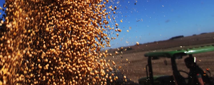 Agropecuária: exportações aumentam 17,5% no 1º quadrimestre