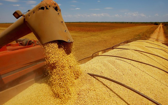 China importa 10,51 toneladas de soja do Brasil e bate recorde em junho